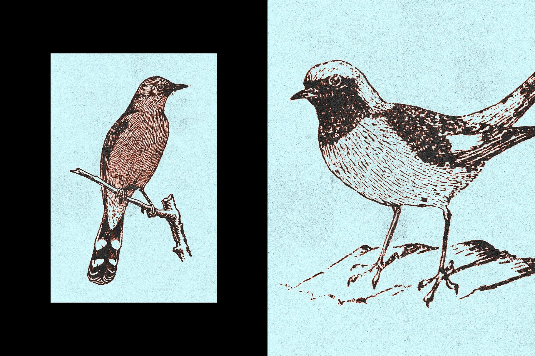 Vintage Print Effect