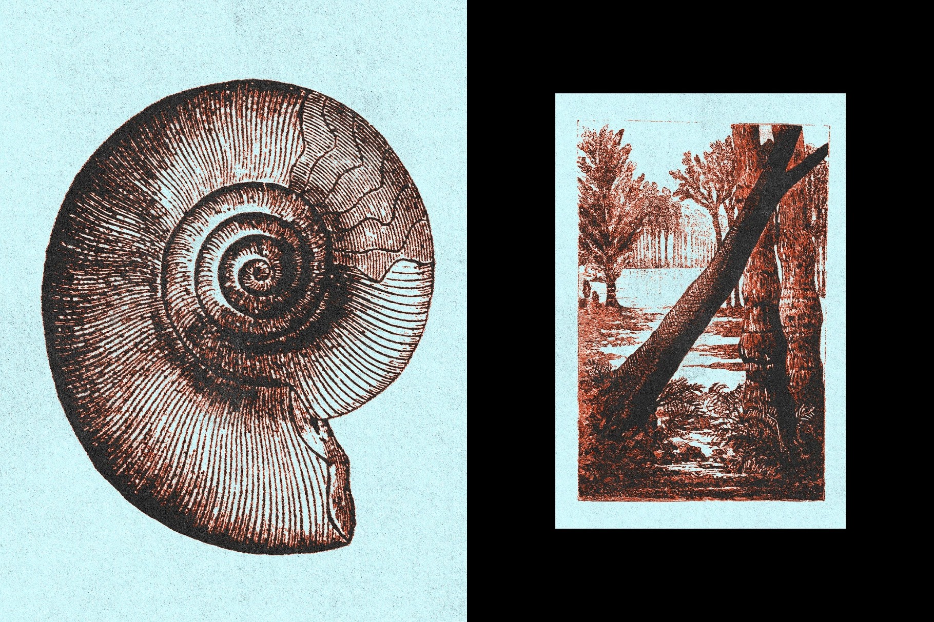 Vintage Print Effect