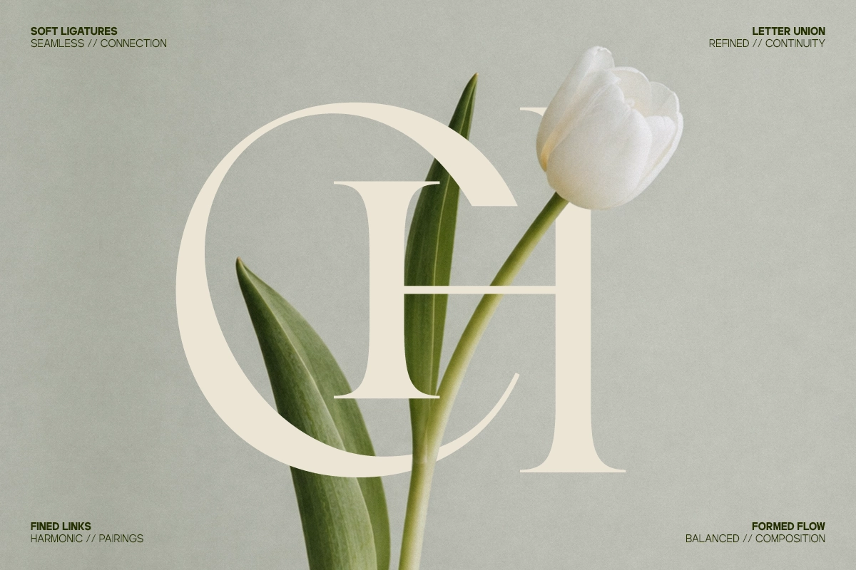 GC Begia - Modern Luxury Typeface