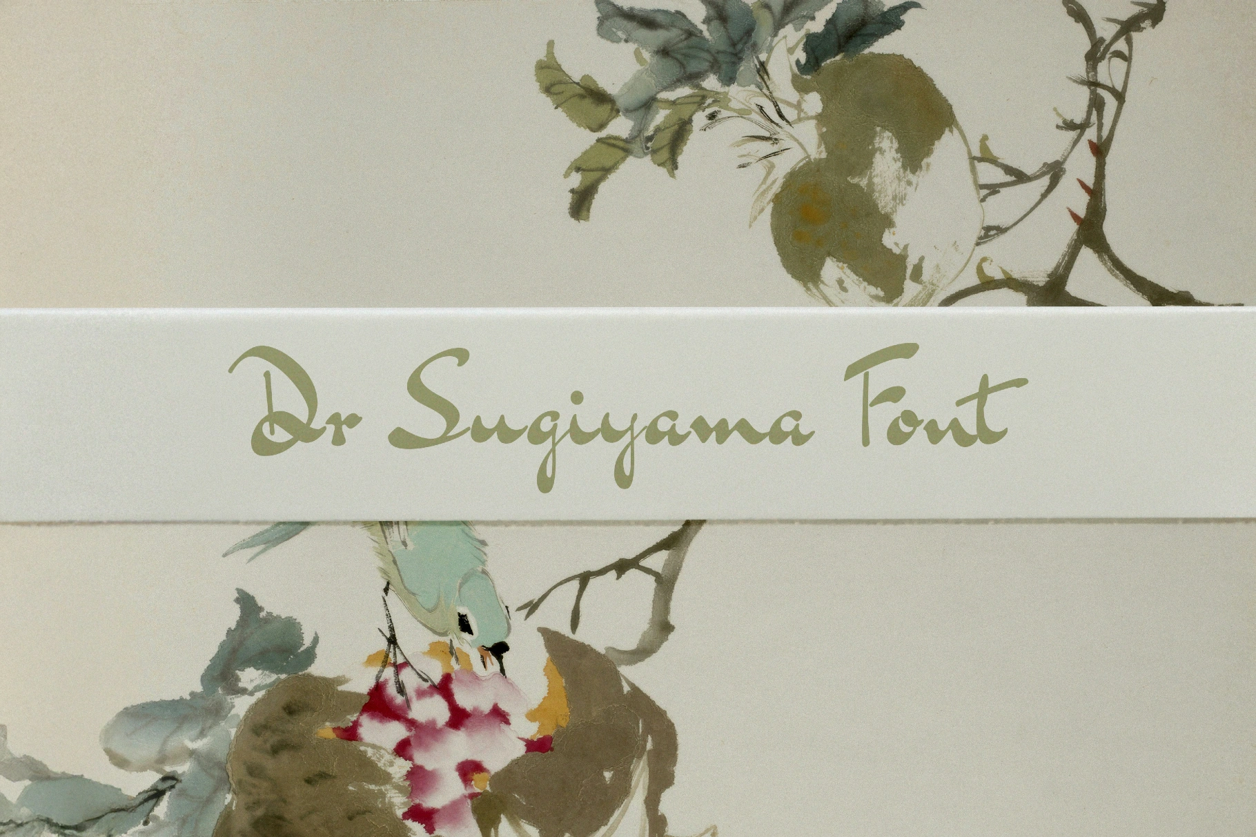 Dr Sugiyama / Signature Font