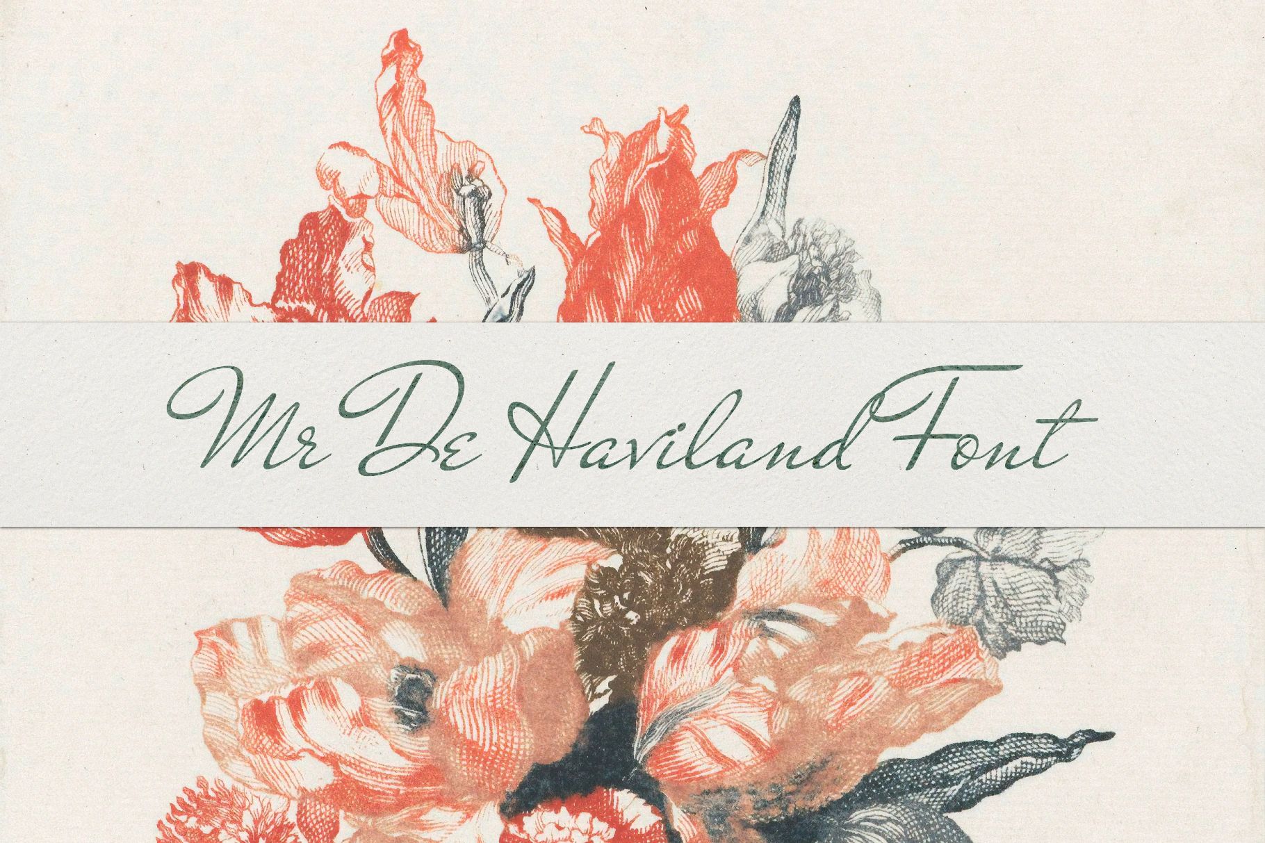 Mr De Haviland Font