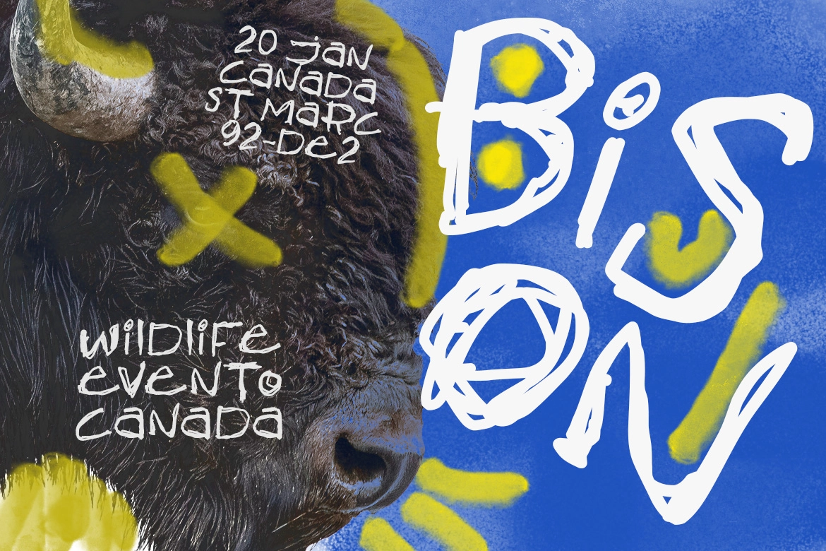 Jane Post - Handwritten Scribble Font