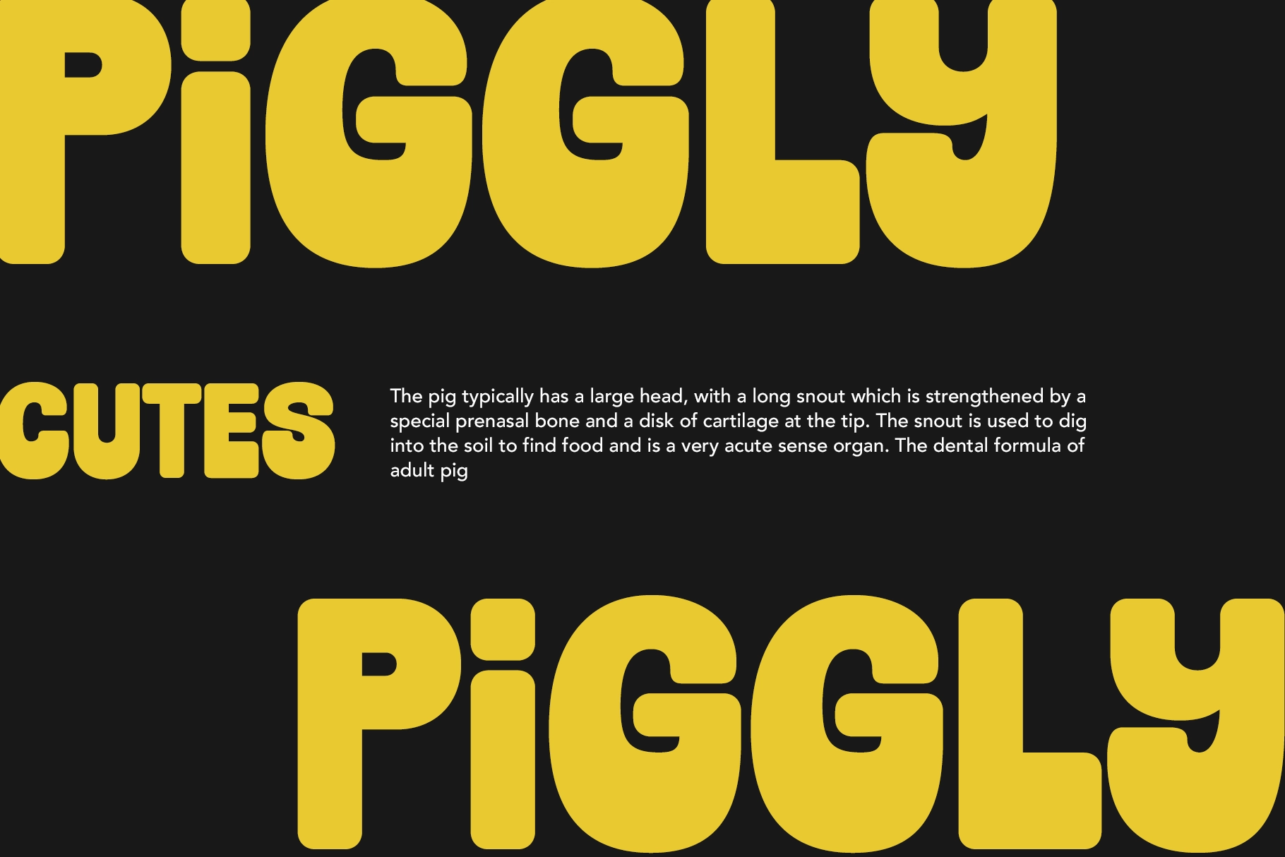 Jt Gilboys - Bold Rounded Display Font