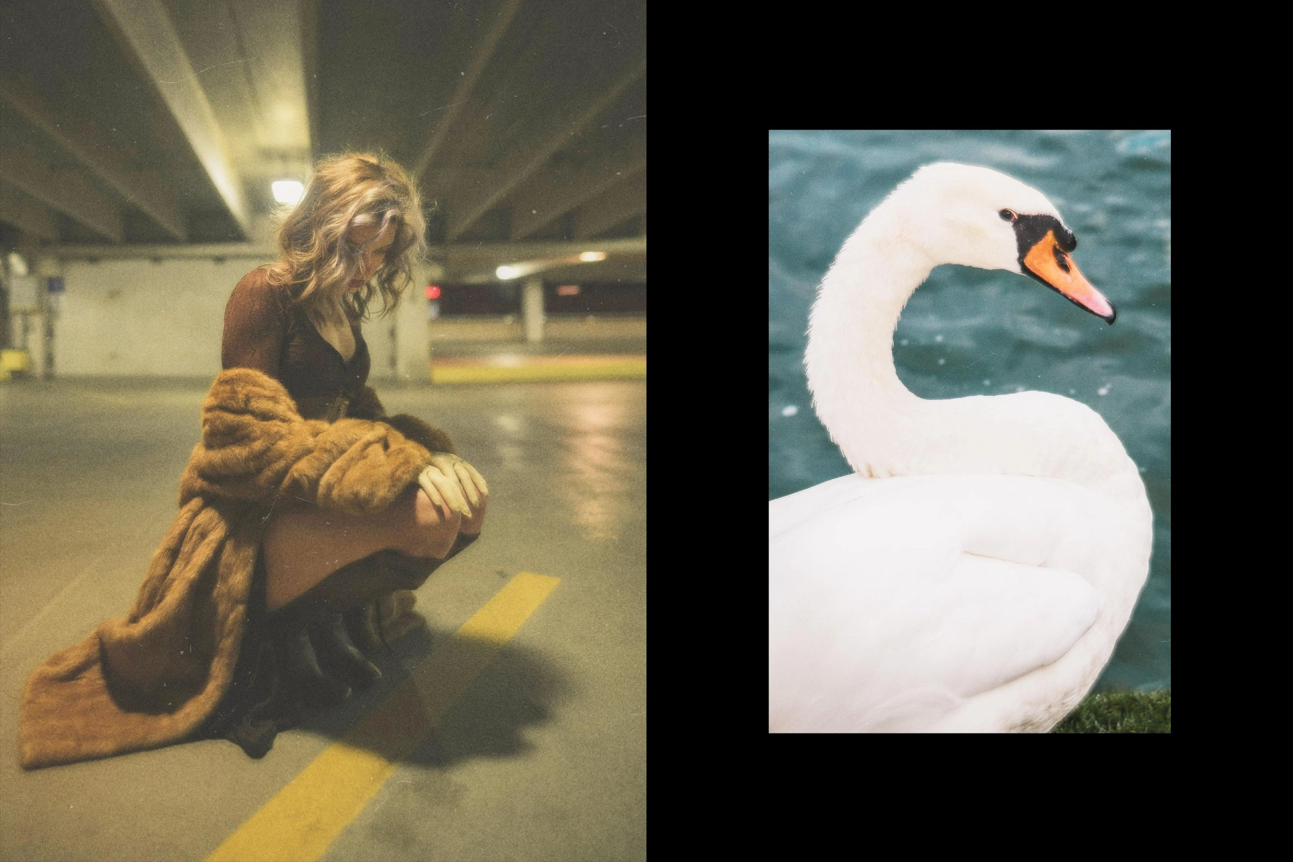 Soft Glow Photo Effect