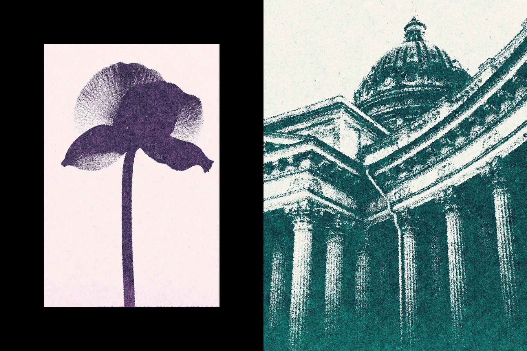 Grain Print Photo Effect