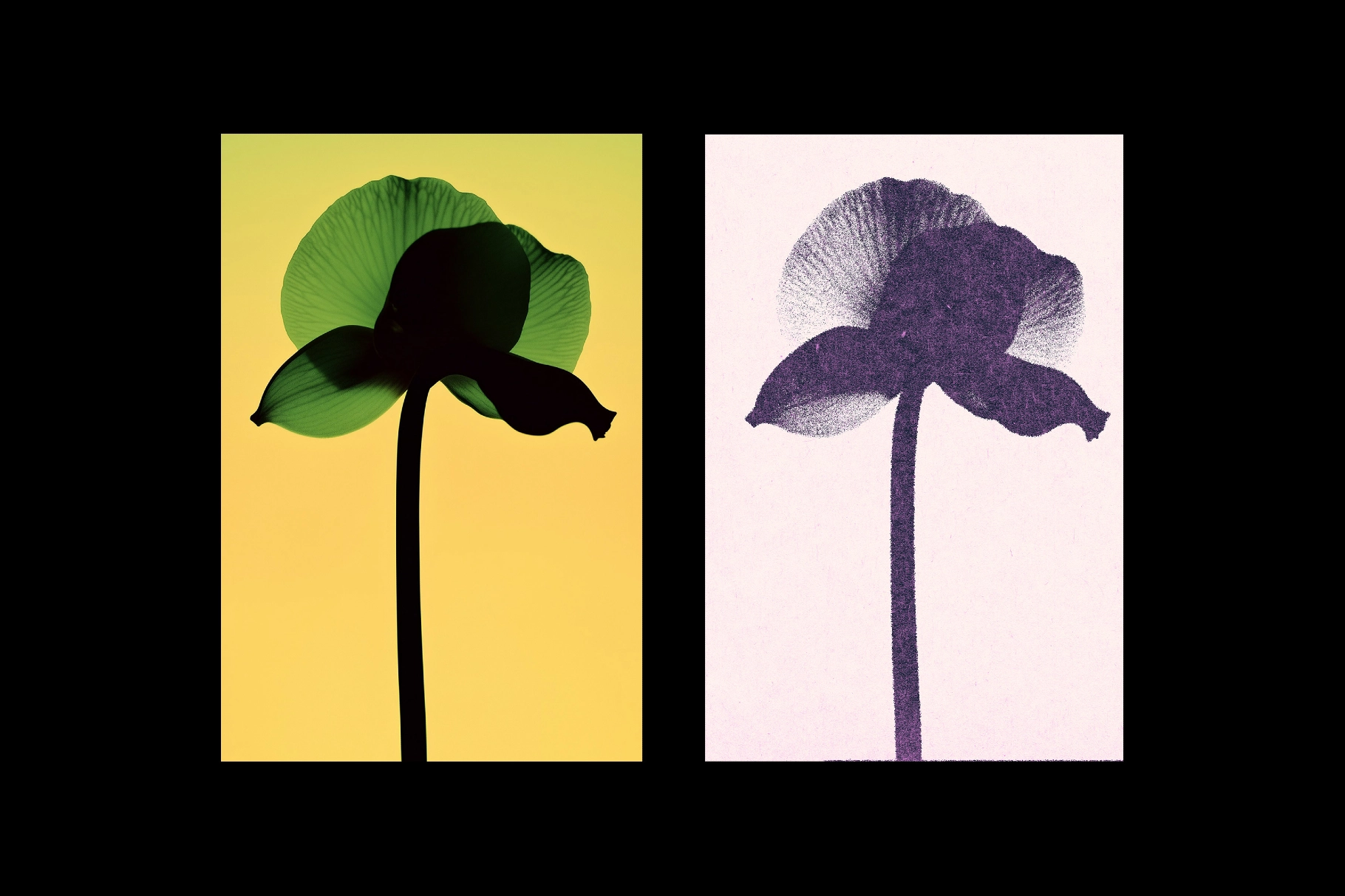 Grain Print Photo Effect