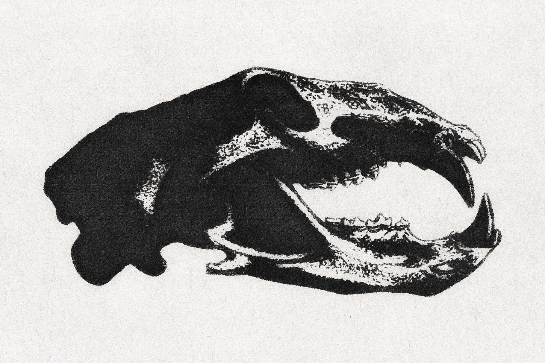 Ink Print Text Effect