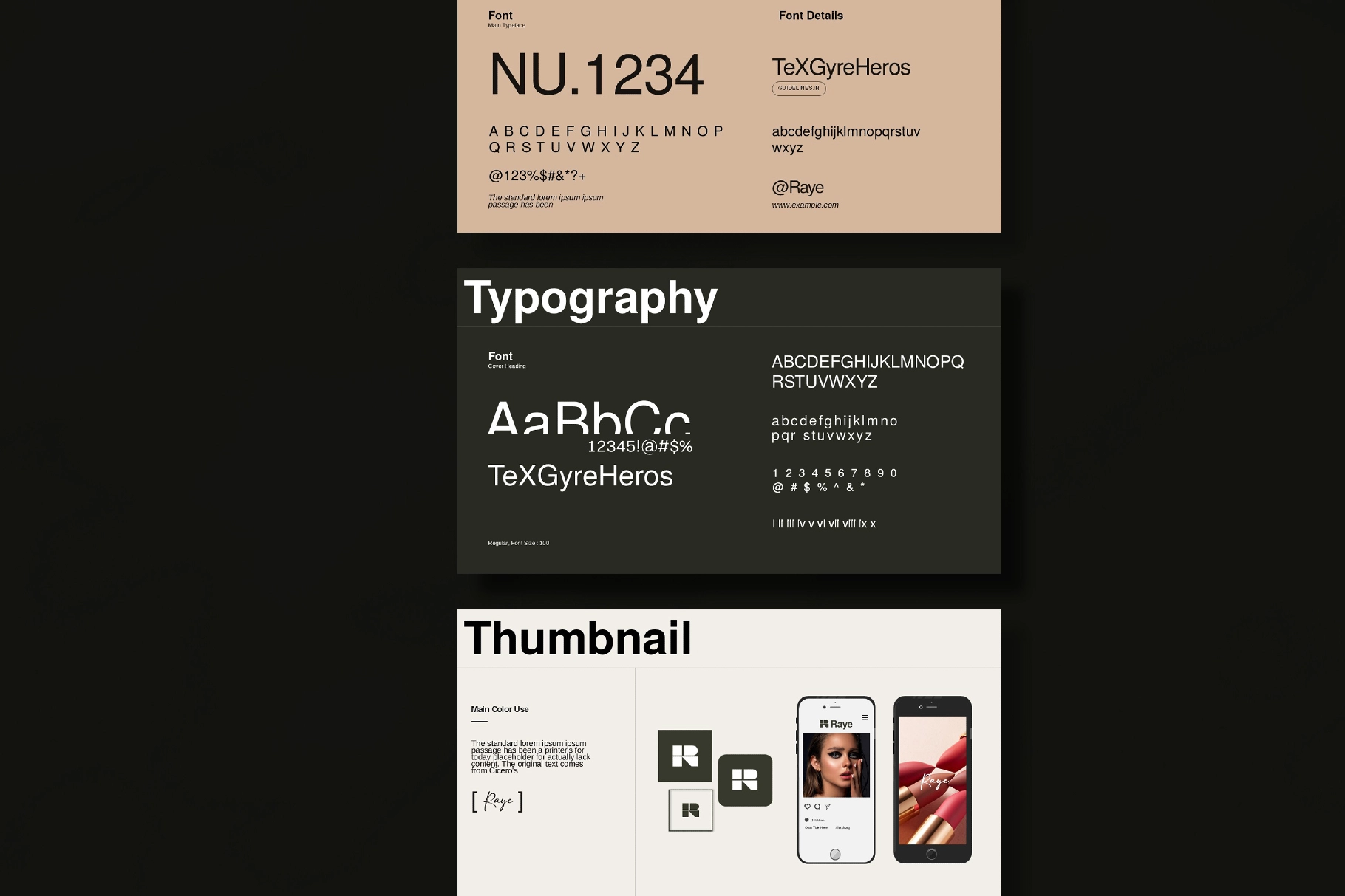 Raye Brand Guidelines Presentation Template