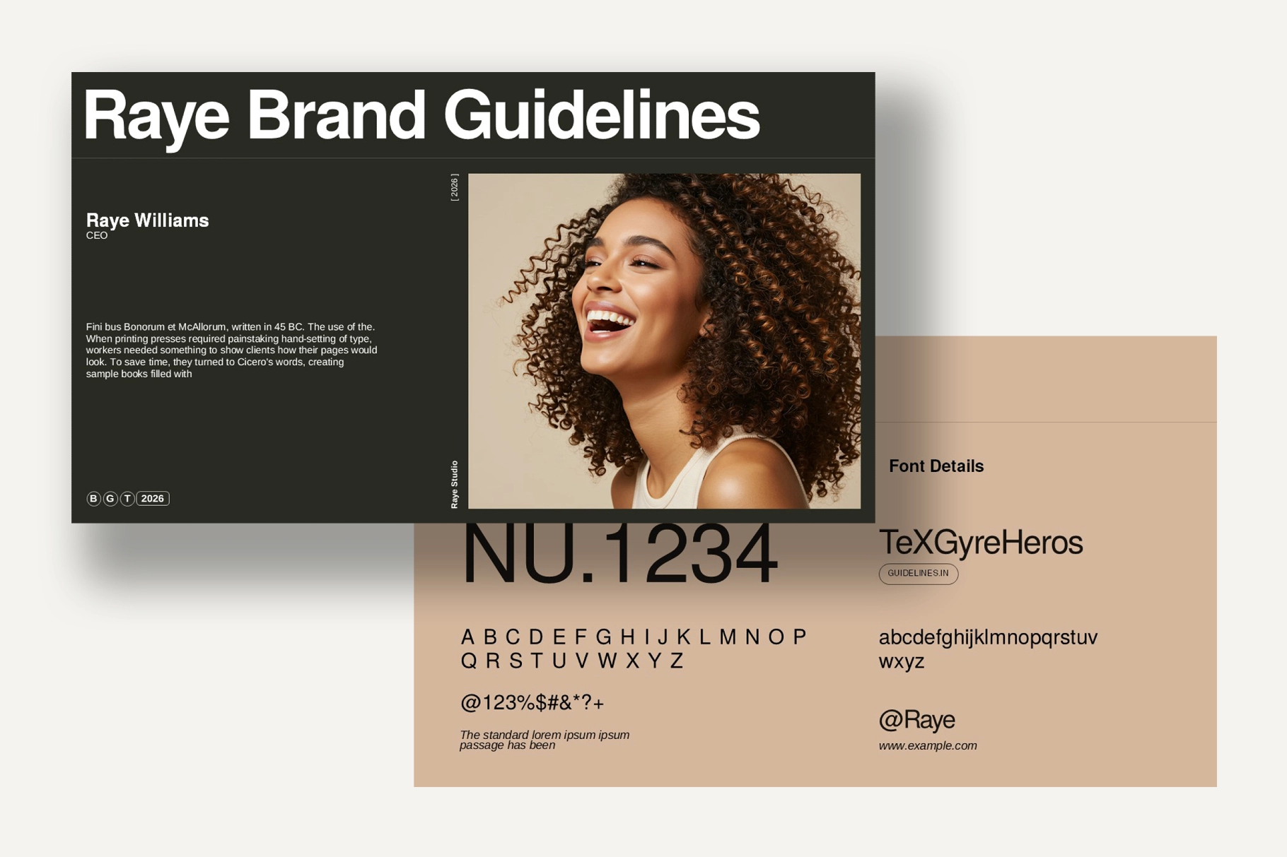 Raye Brand Guidelines Presentation Template