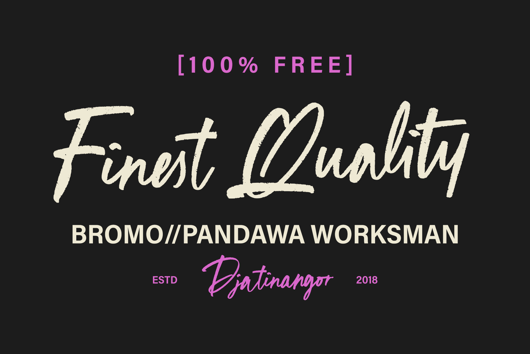 ST Pinkman - Handwritten Signature Script Font