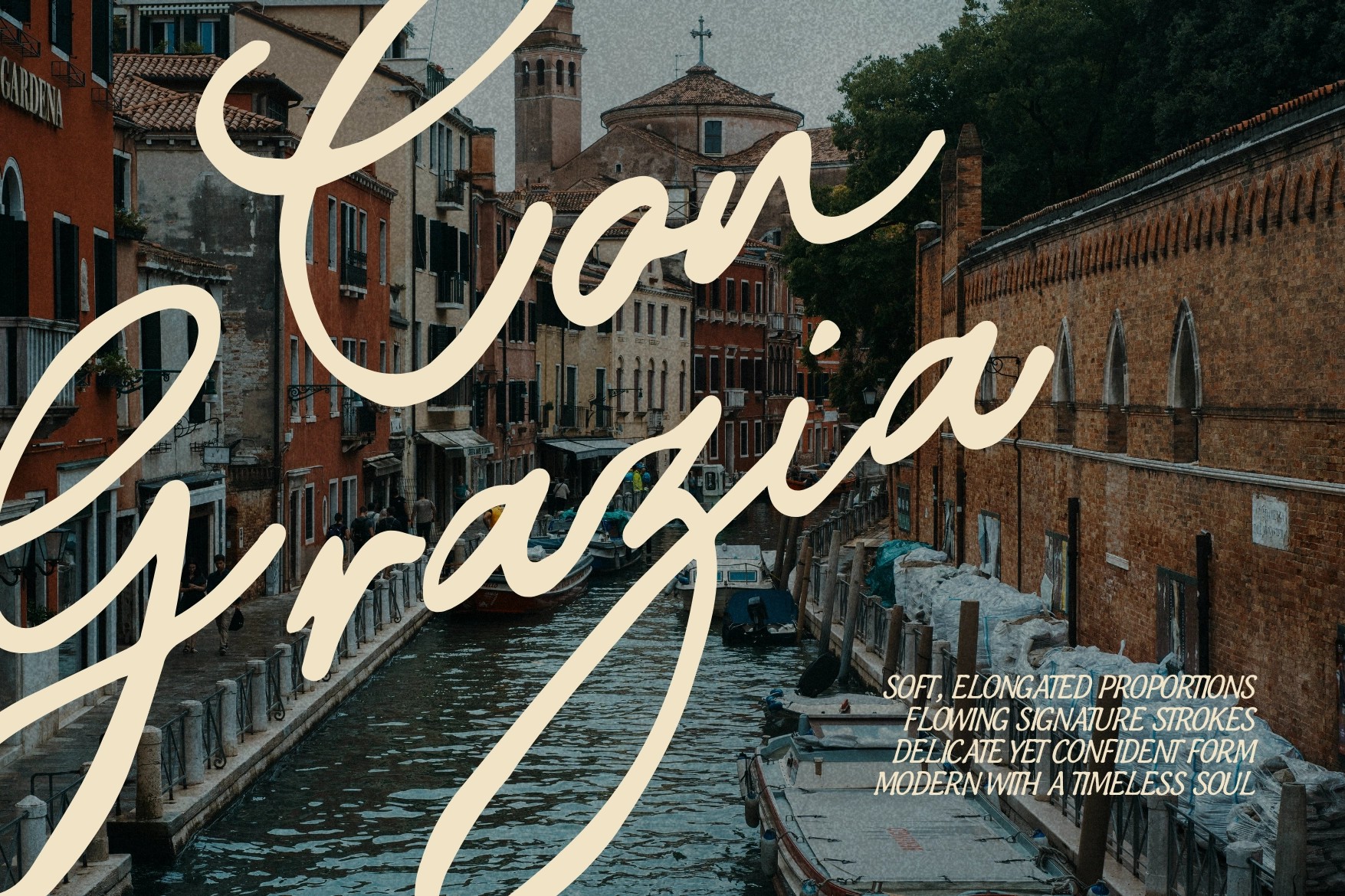 Monarque Signature - Elegant Script Font