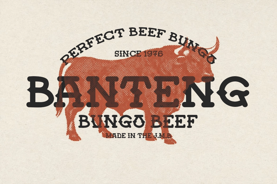 Bungo Western - Western Display Font