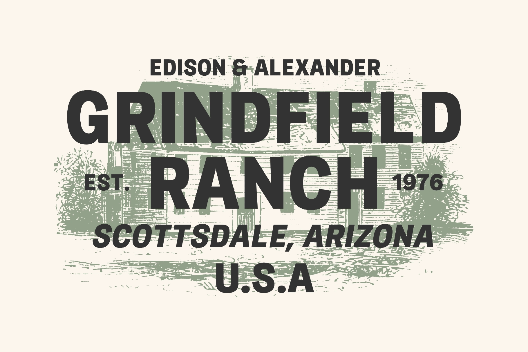 Pitura HF - Modern Sans Serif Font Family