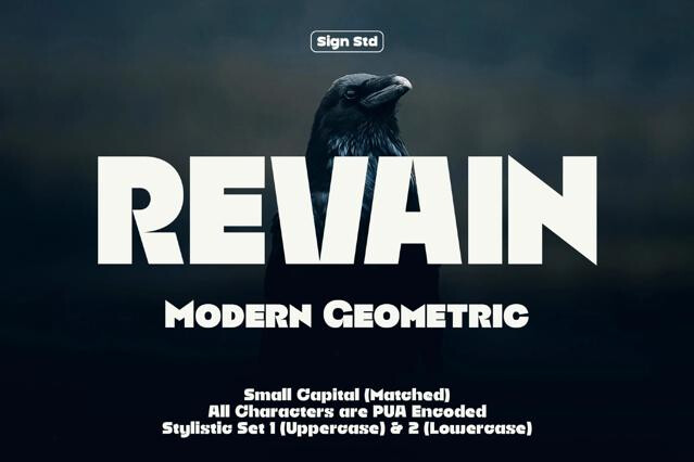 Revain - Modern Geometric Sans Font