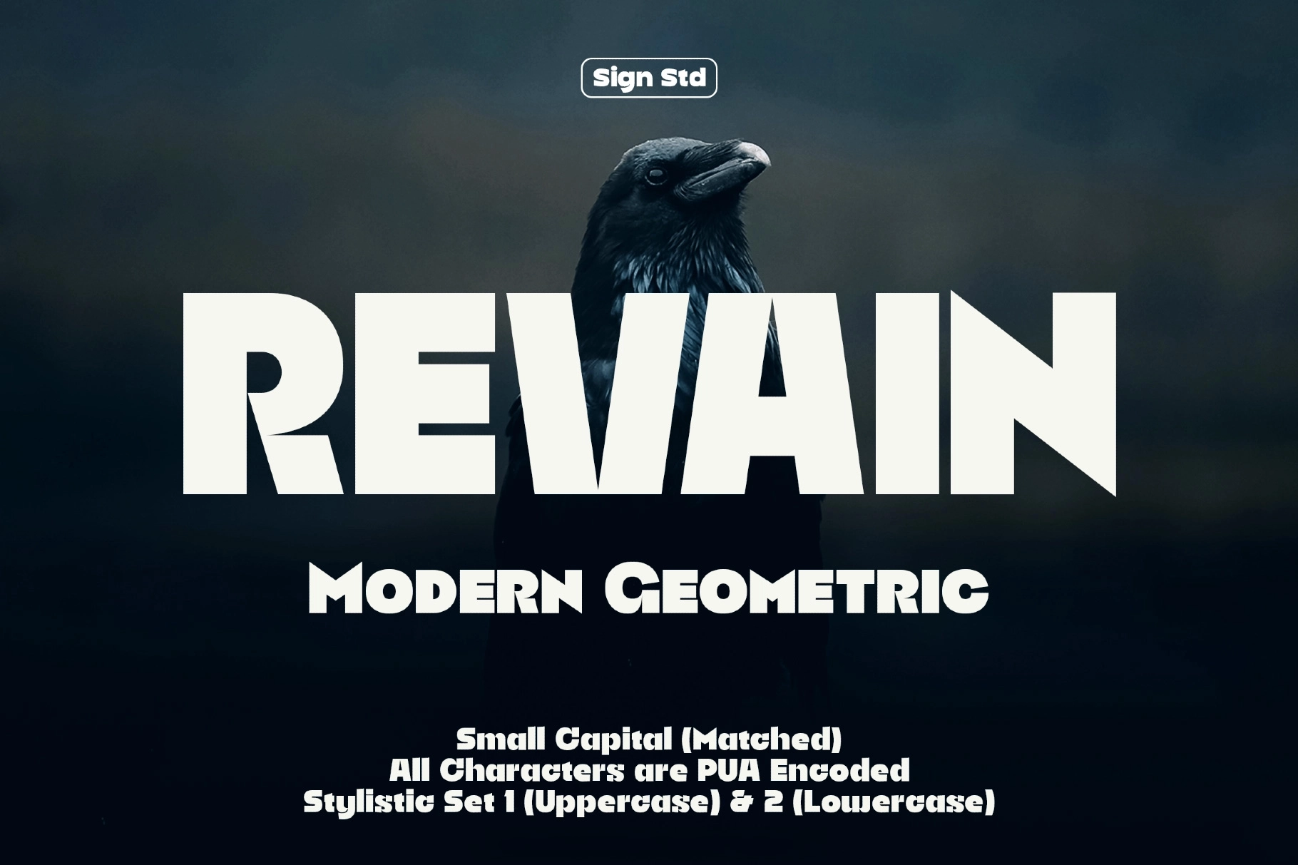 Revain - Modern Geometric Sans Font