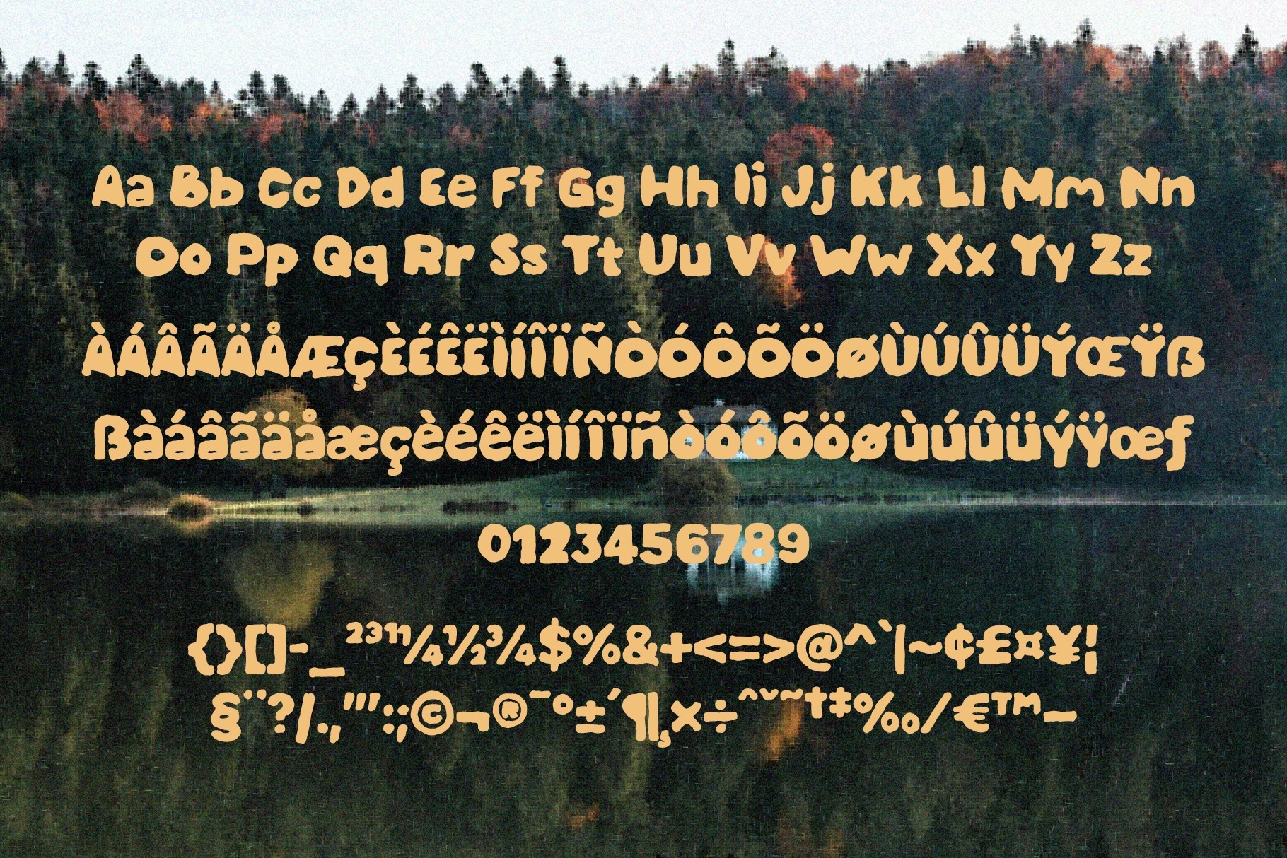 Bold Hand Drawn Display Font - Evalina