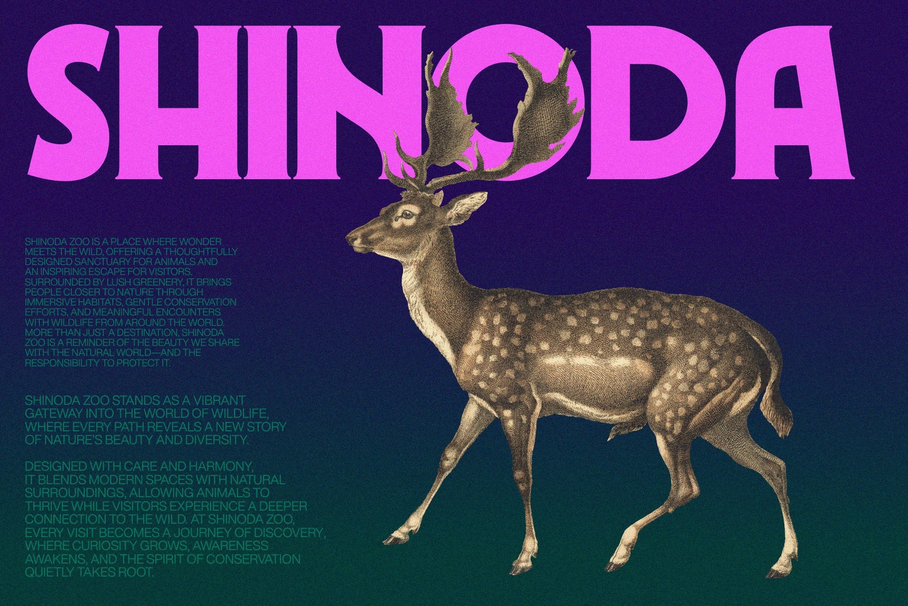 ROMIEN — Elegant Ligature Serif Font