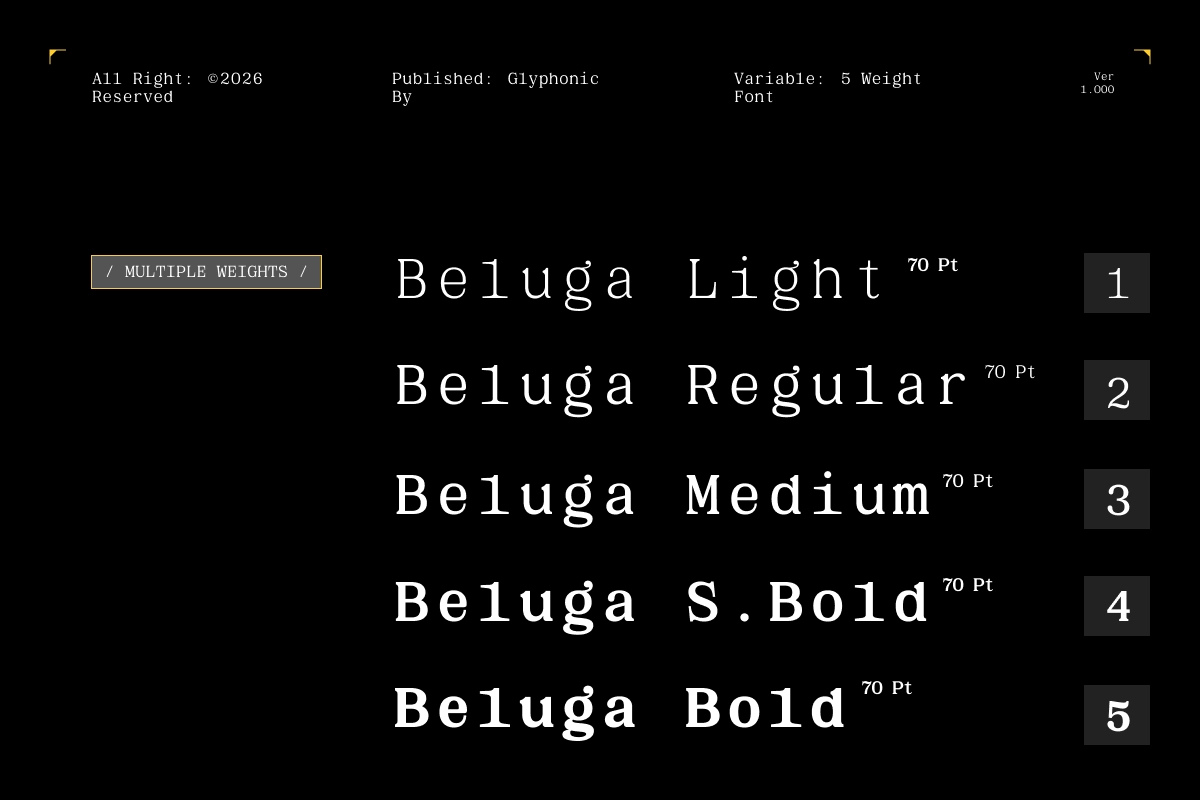 GC Beluga Mono - Elegant Modern Mono Serif Font