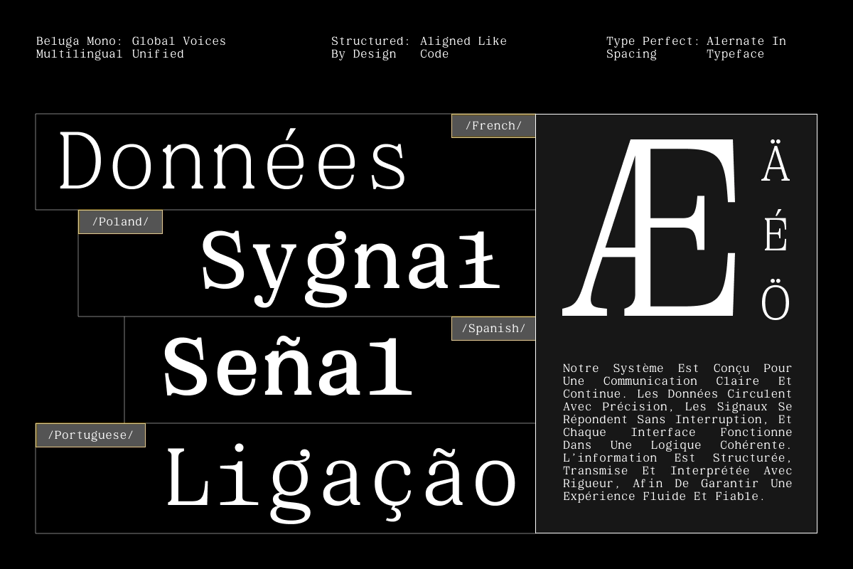 GC Beluga Mono - Elegant Modern Mono Serif Font