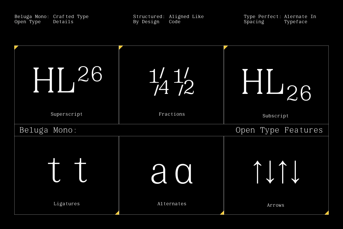 GC Beluga Mono - Elegant Modern Mono Serif Font