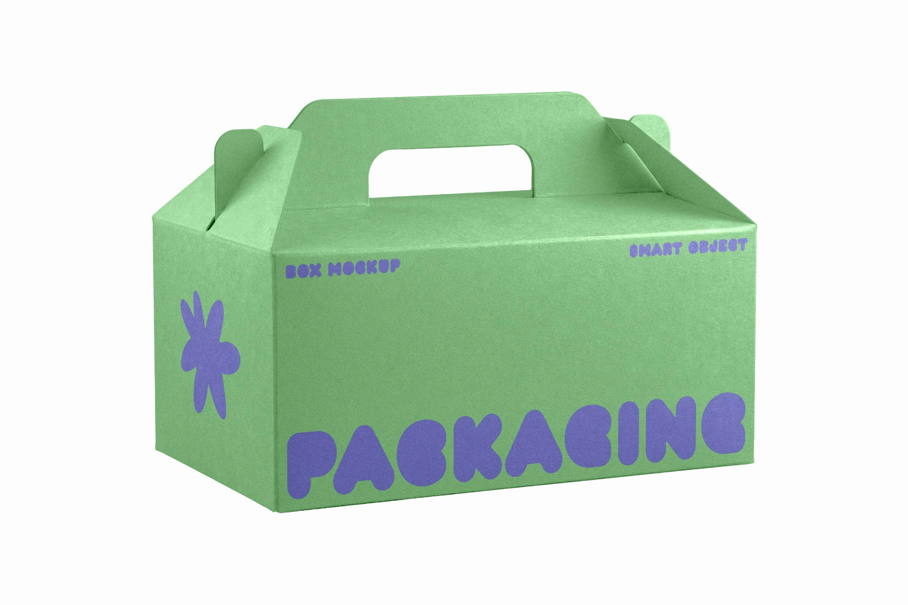 Gable Box Mockup Angled View with Handle