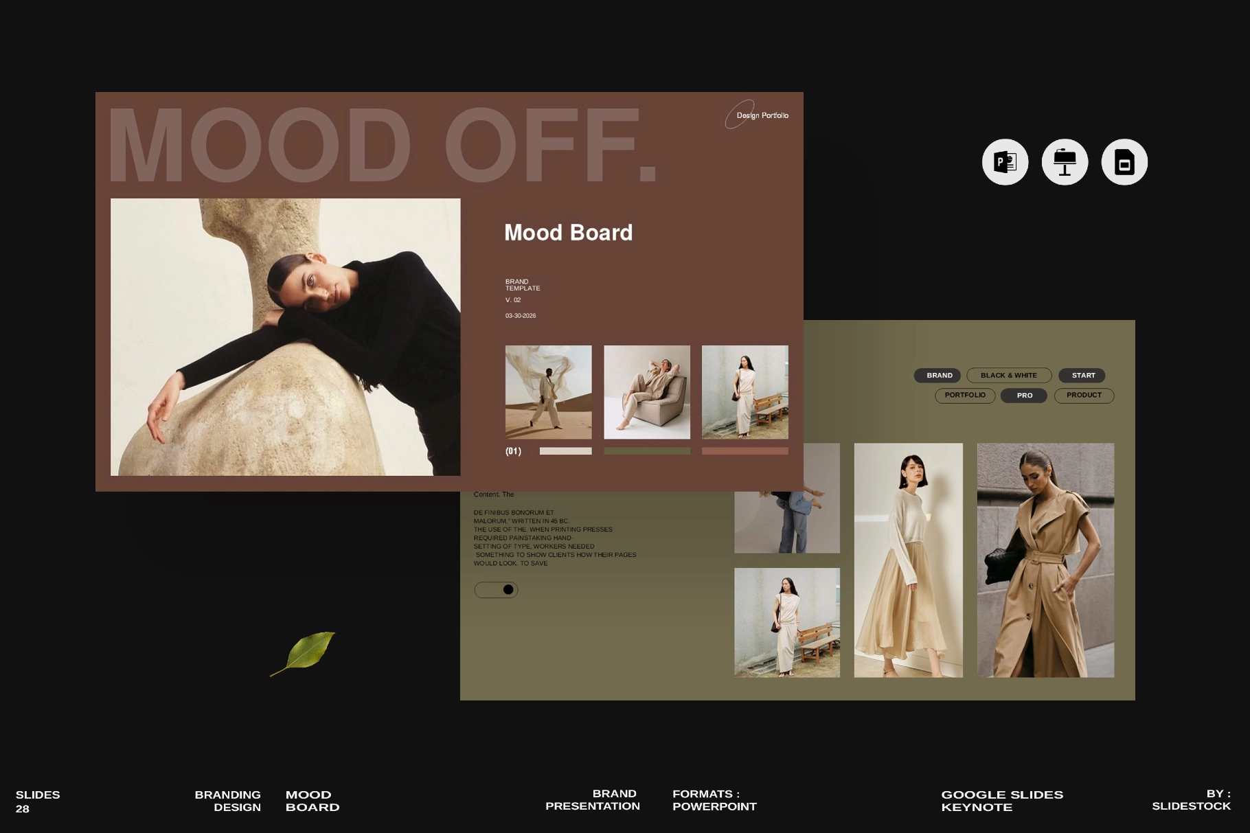 Mood Board Presentation Template