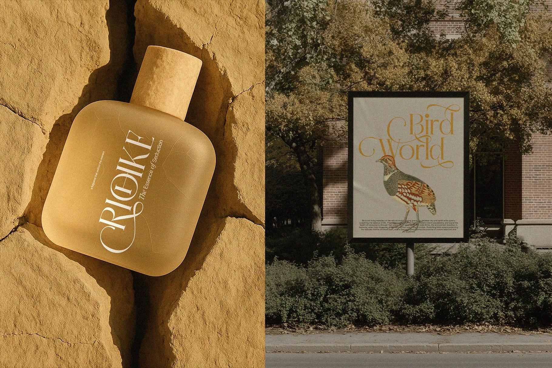 MADHIK BAGIMAR — Elegant Luxury Serif Font