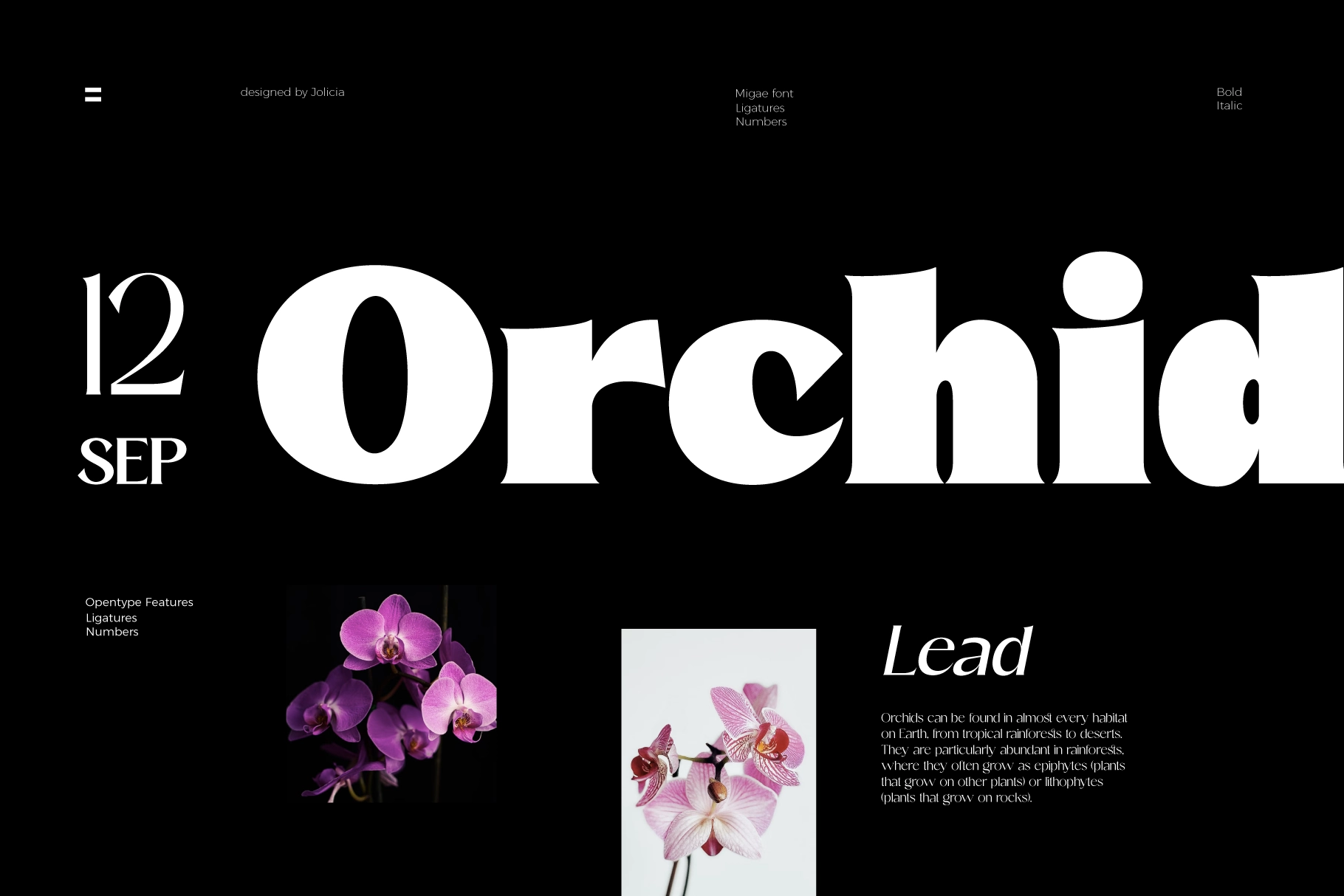 Migae – Elegant Modern Serif Display Font