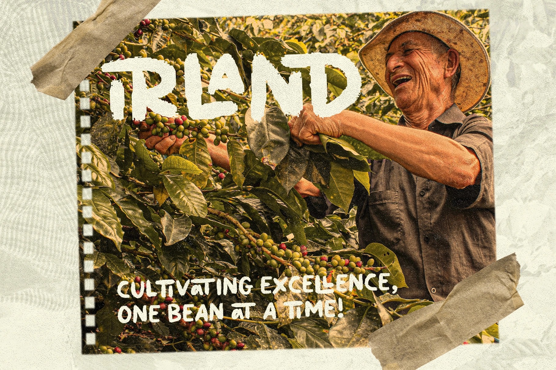 Hustle Jungle - Rough Brush Display Font