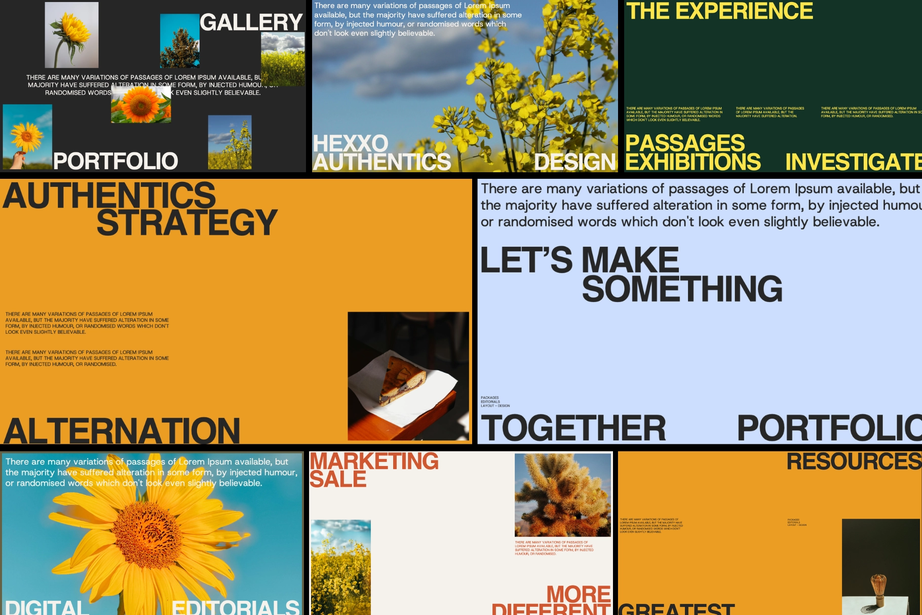 Hexxo - Modern Brand Portfolio Template Bundle