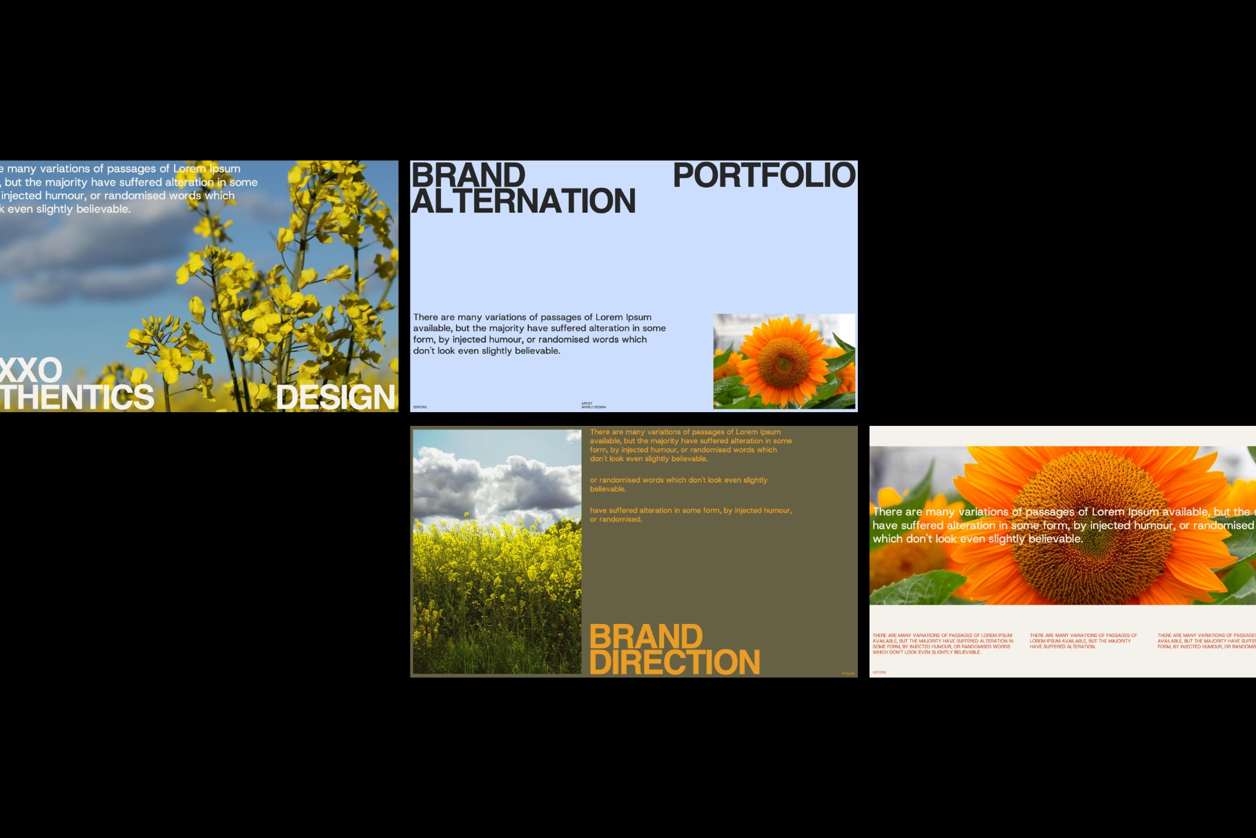 Hexxo - Modern Brand Portfolio Template Bundle