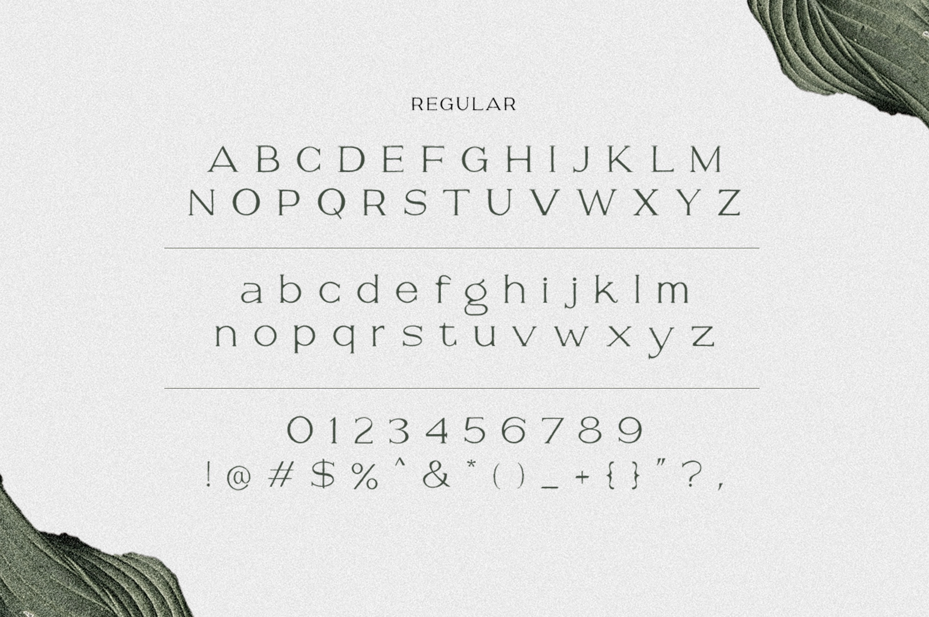 Savoire - Handwritten Serif Font