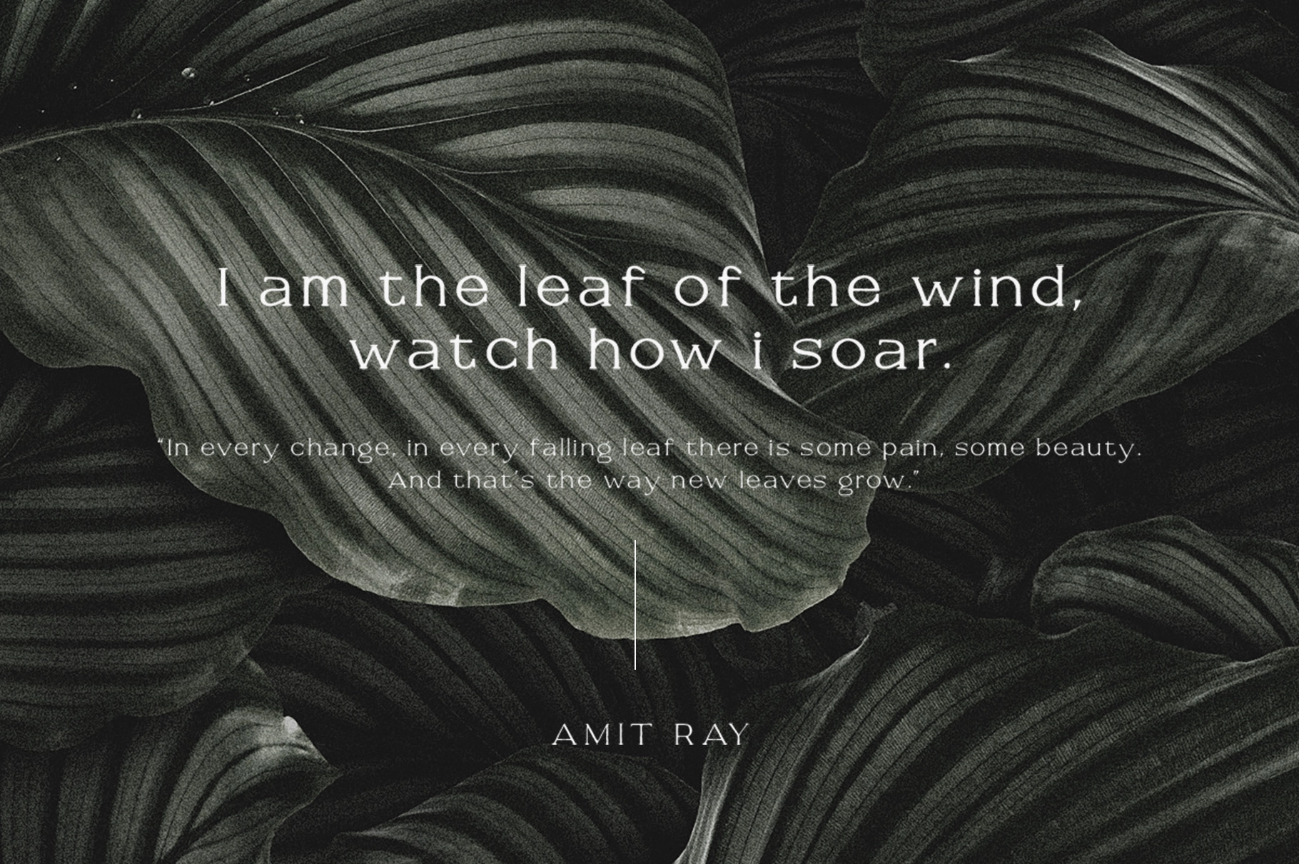 Savoire - Handwritten Serif Font