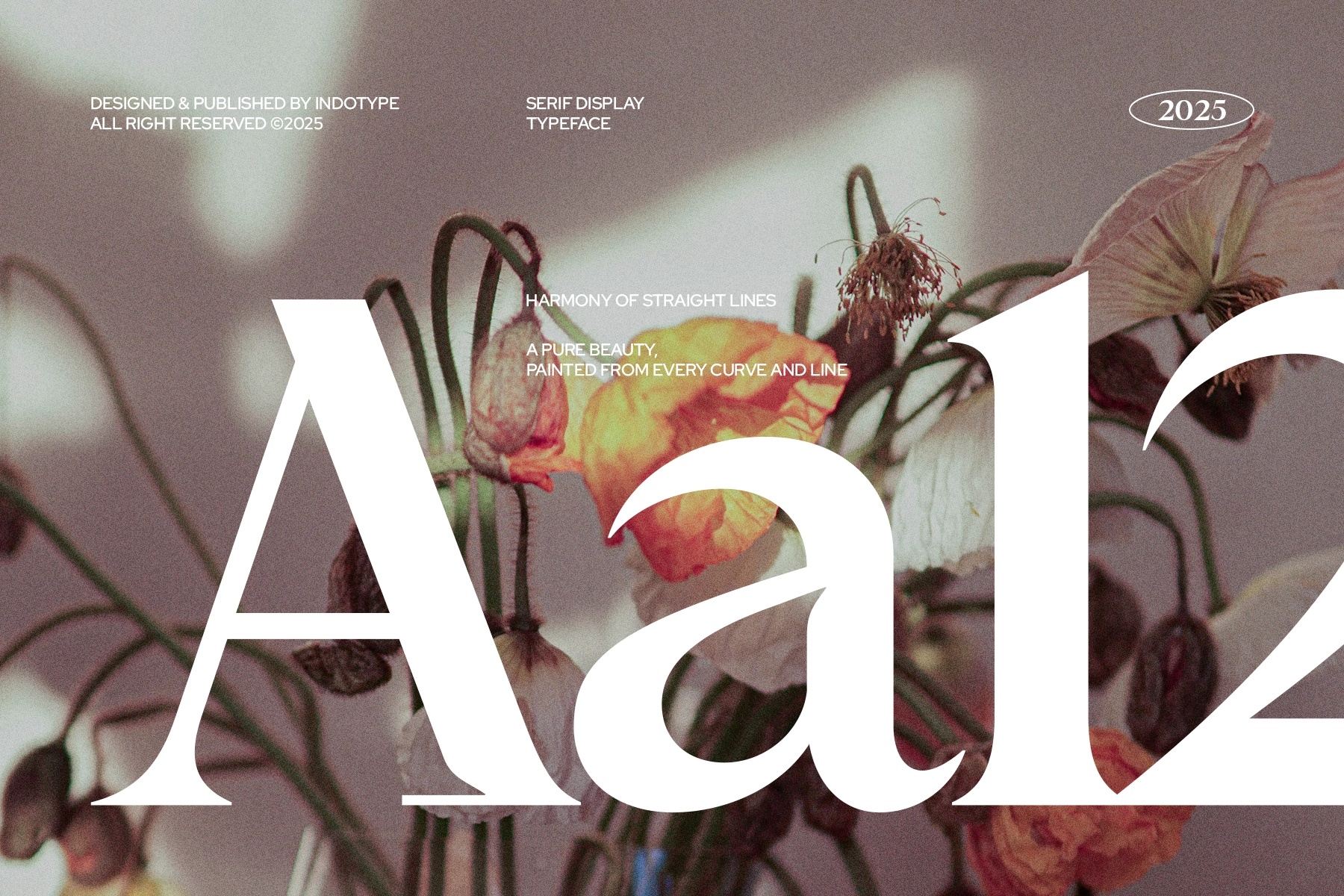 Velthora - Elegant Serif Display Font