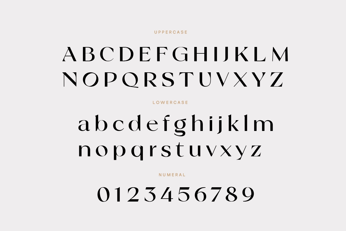 Prime Brand – Elegant Display Font
