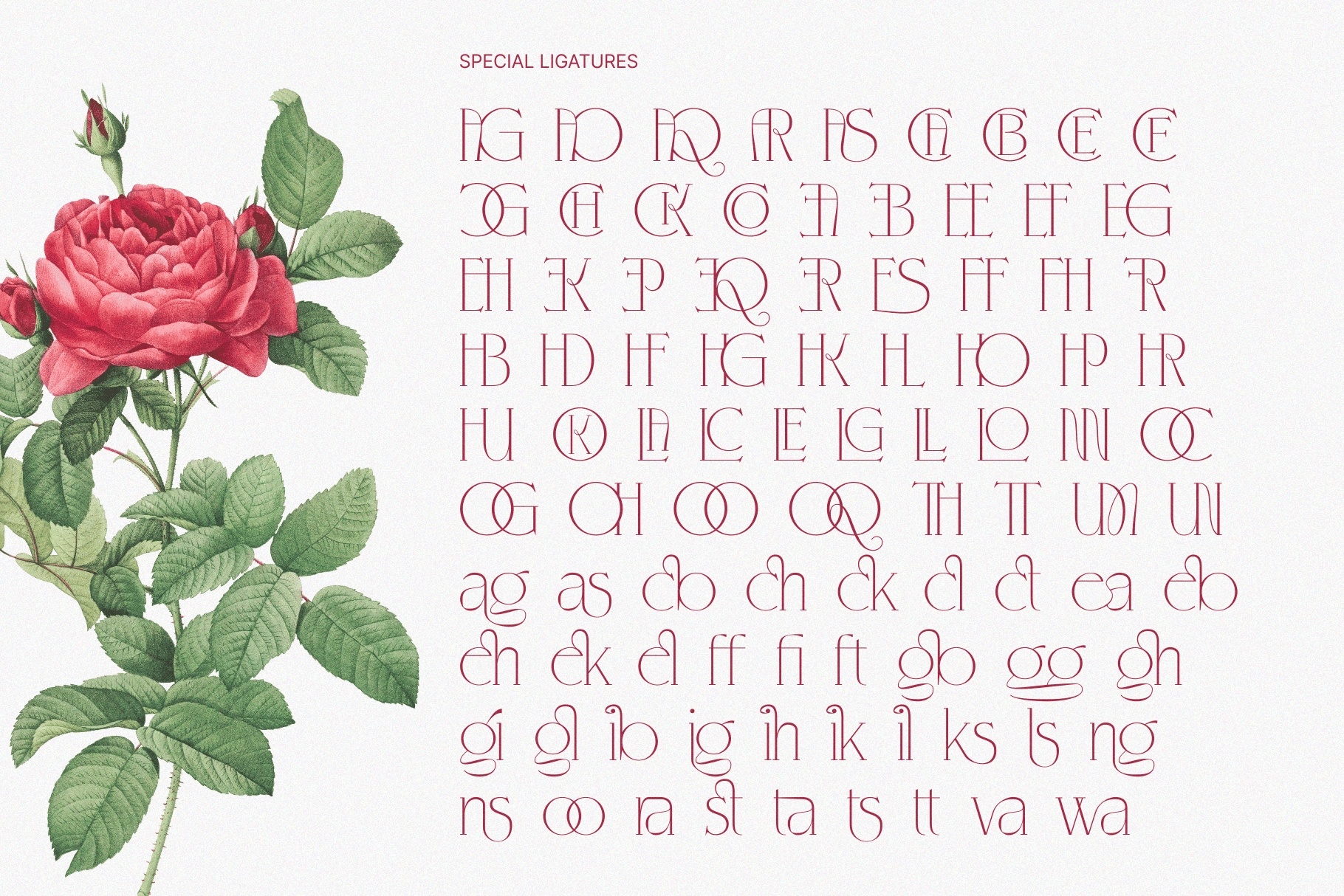 KLENSIG MOCKURA — Elegant Luxury Serif Font
