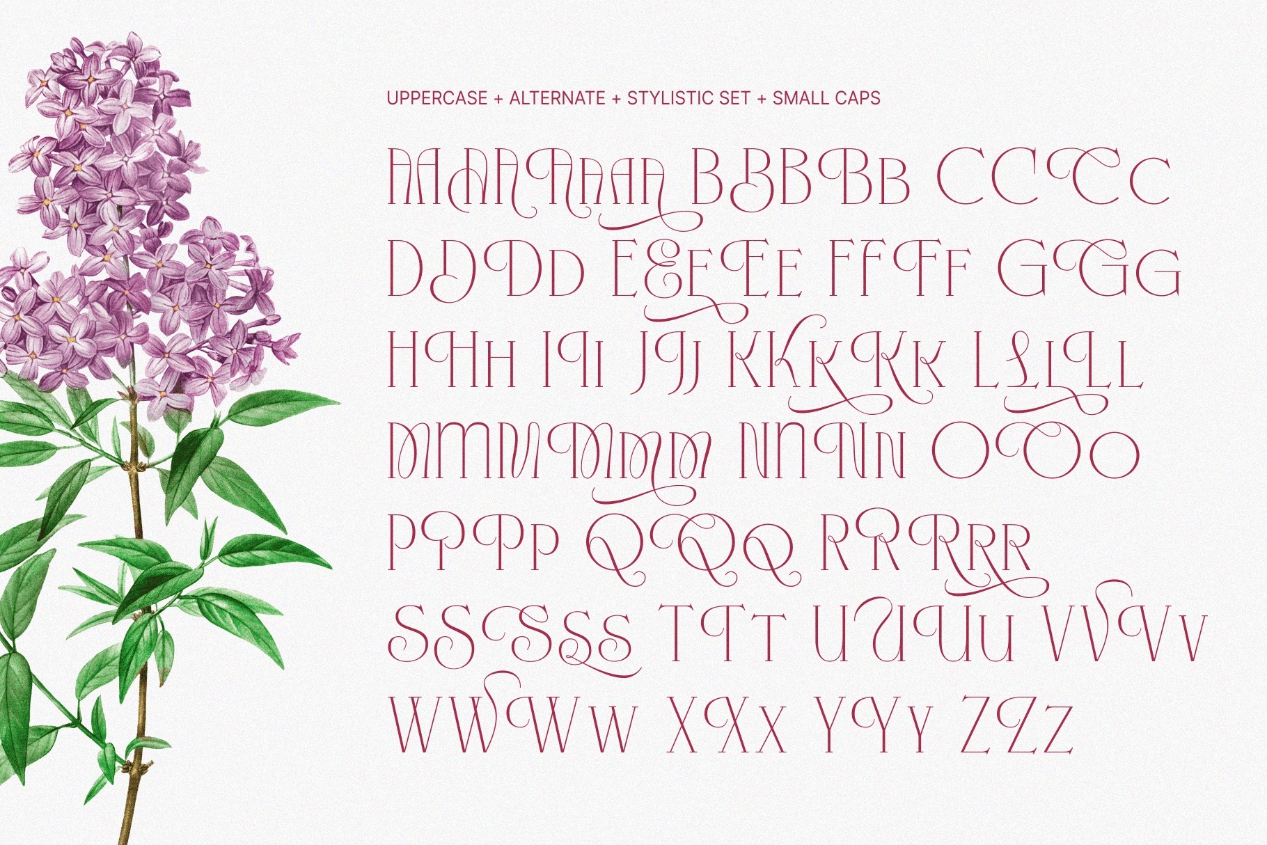 KLENSIG MOCKURA — Elegant Luxury Serif Font