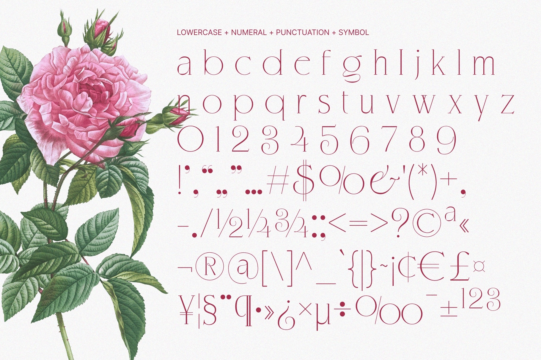 KLENSIG MOCKURA — Elegant Luxury Serif Font