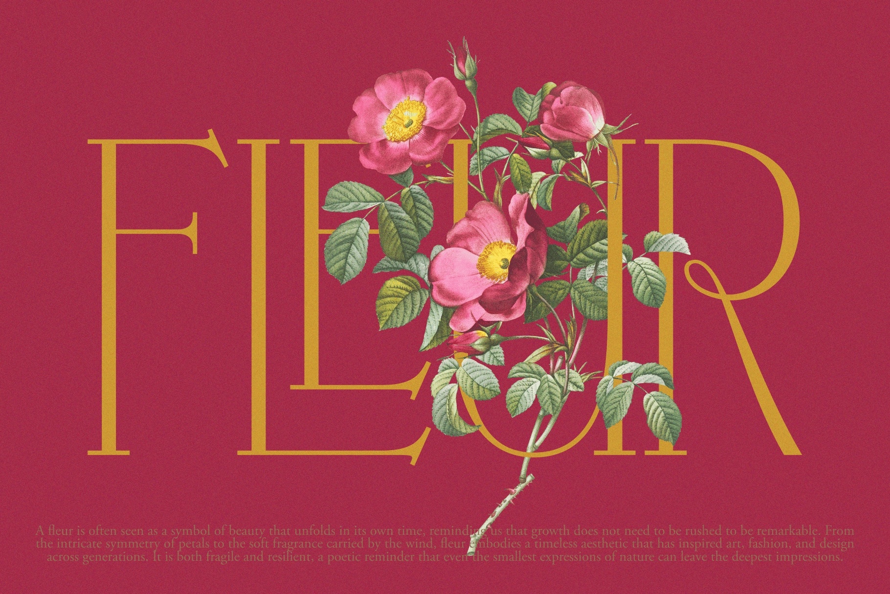 KLENSIG MOCKURA — Elegant Luxury Serif Font