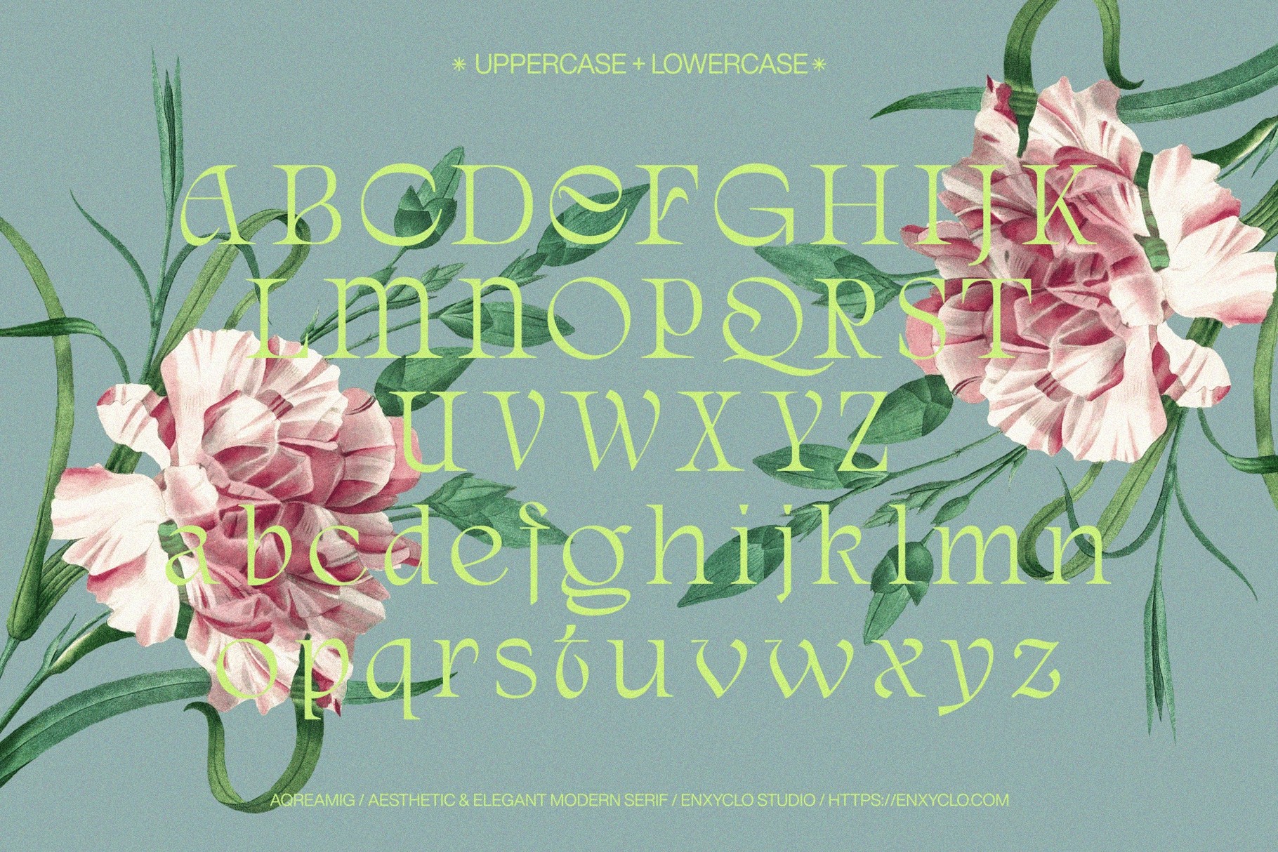 AQREAMIG — Modern Luxury Serif Font