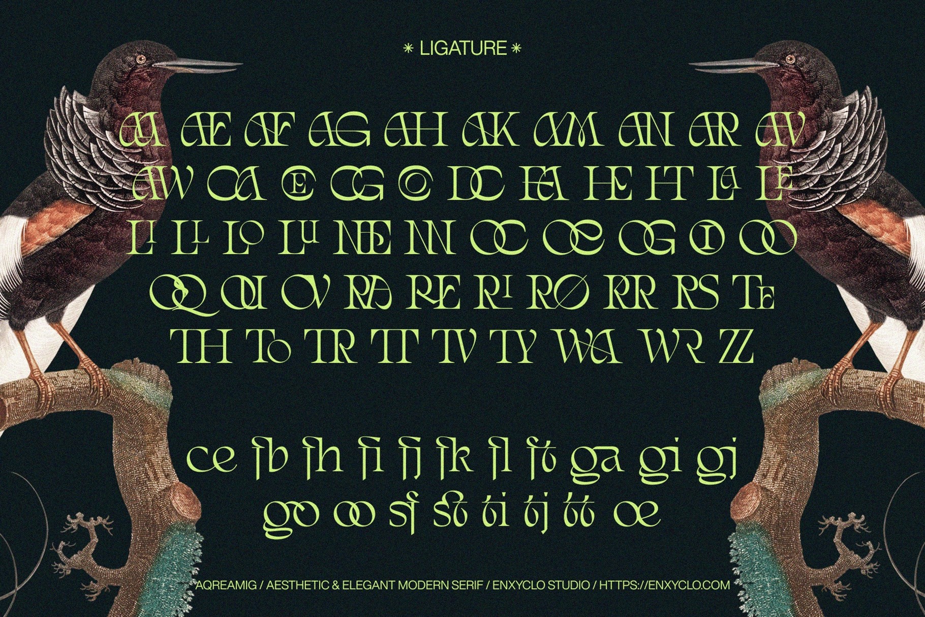 AQREAMIG — Modern Luxury Serif Font