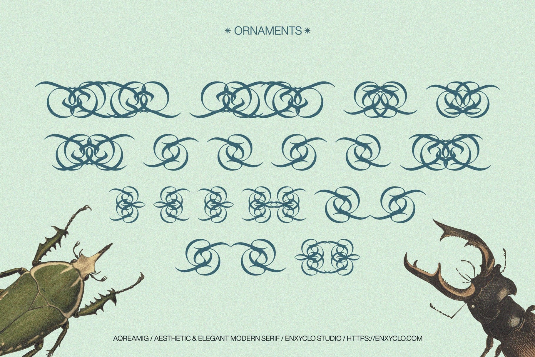 AQREAMIG — Modern Luxury Serif Font