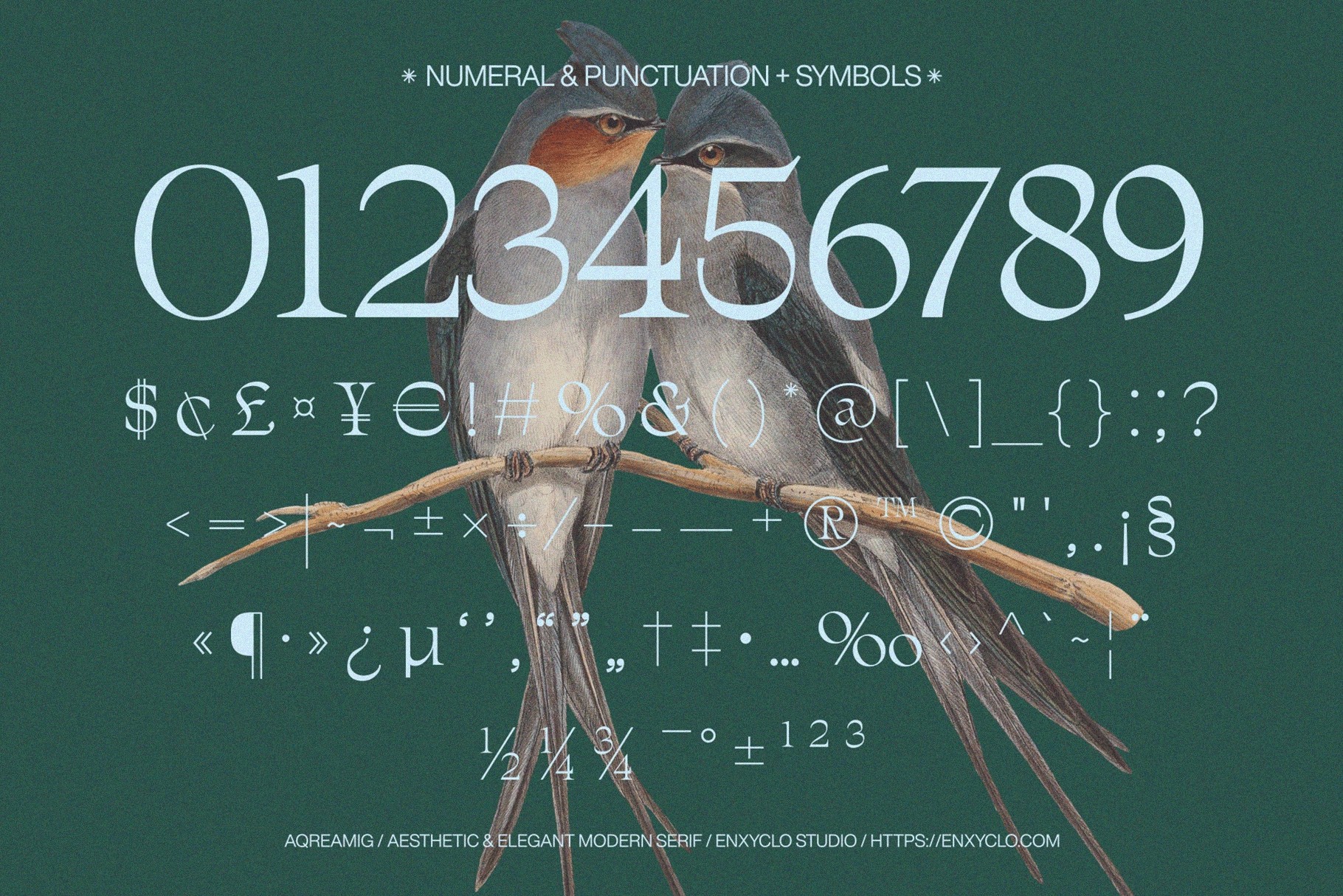 AQREAMIG — Modern Luxury Serif Font