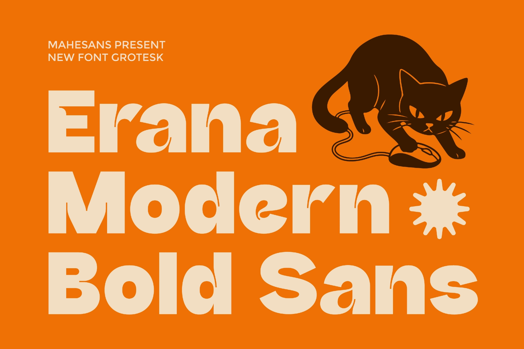 Erana Grotesk – Bold Sans Serif Font