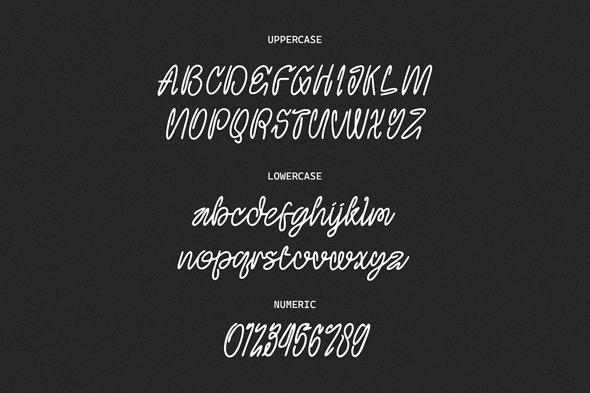 Florence Lanes - Modern Script Font