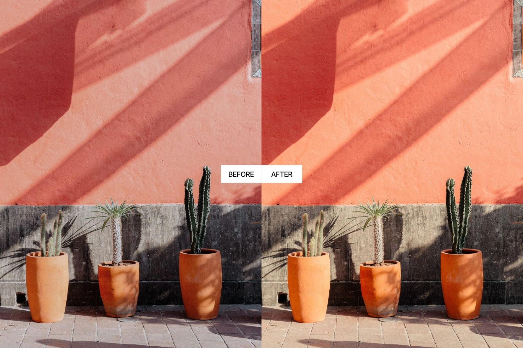 Kodak Portra 400 Lightroom Presets