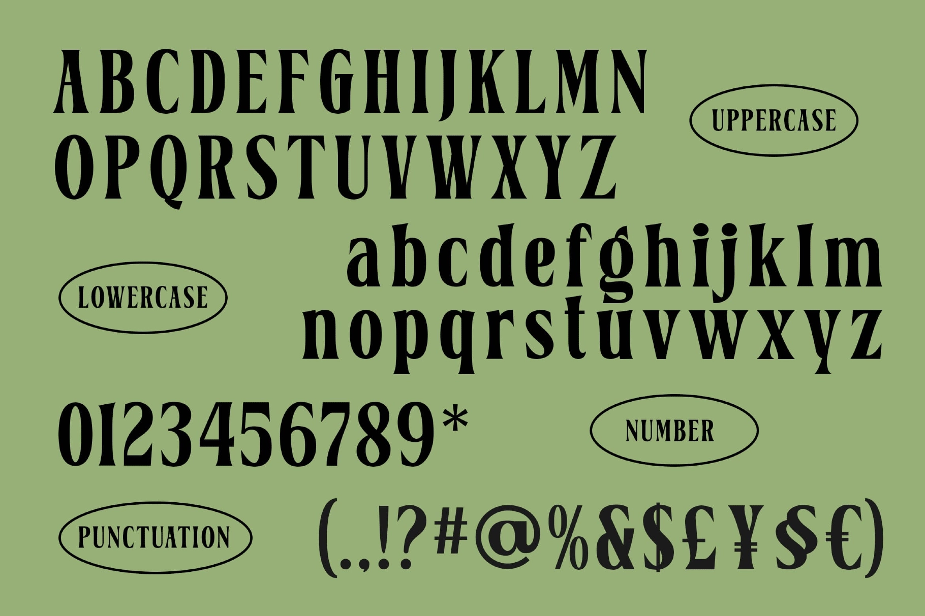 Belgino – Elegant Serif Font