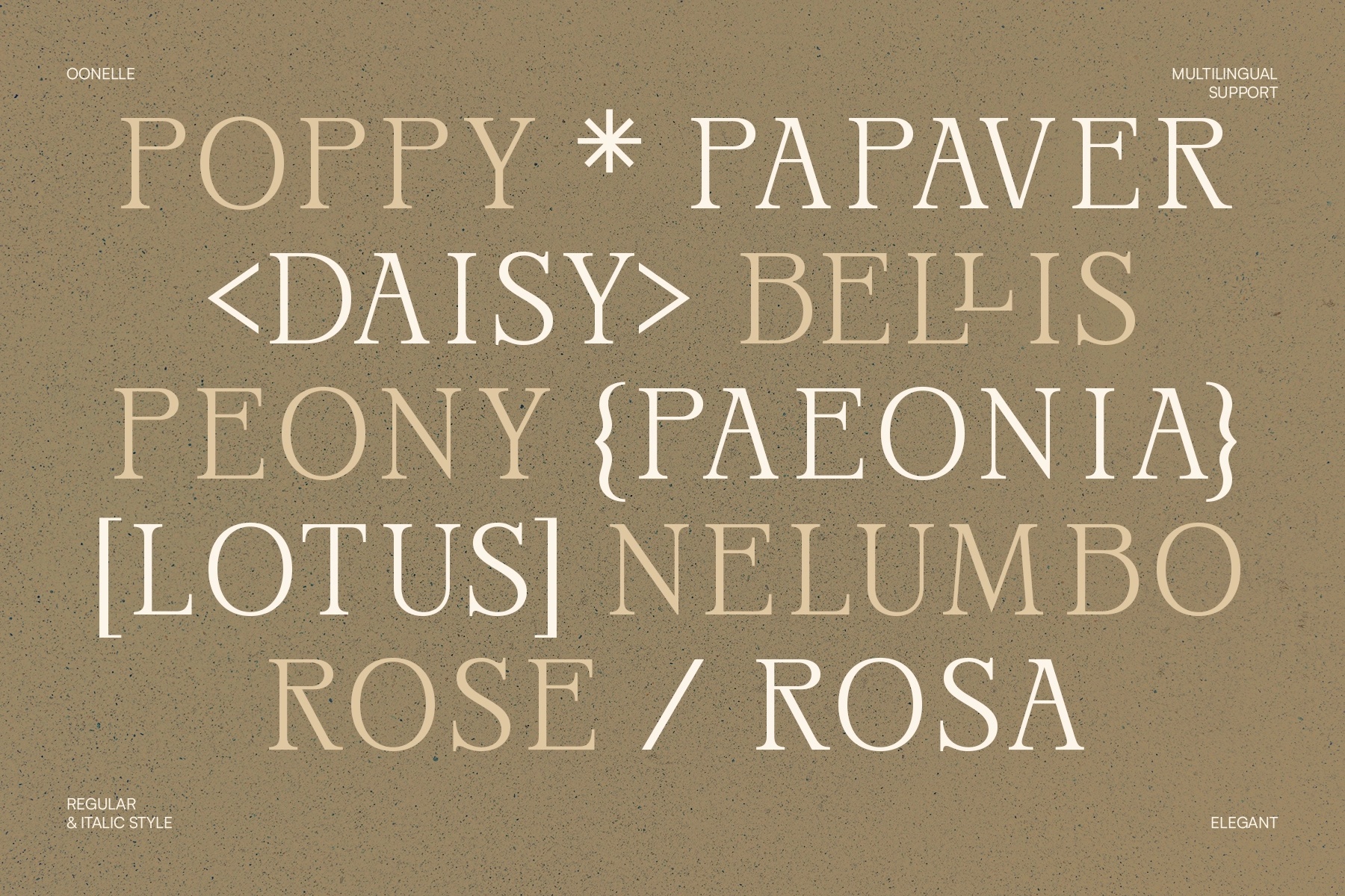 Oonelle - Elegant Serif Font