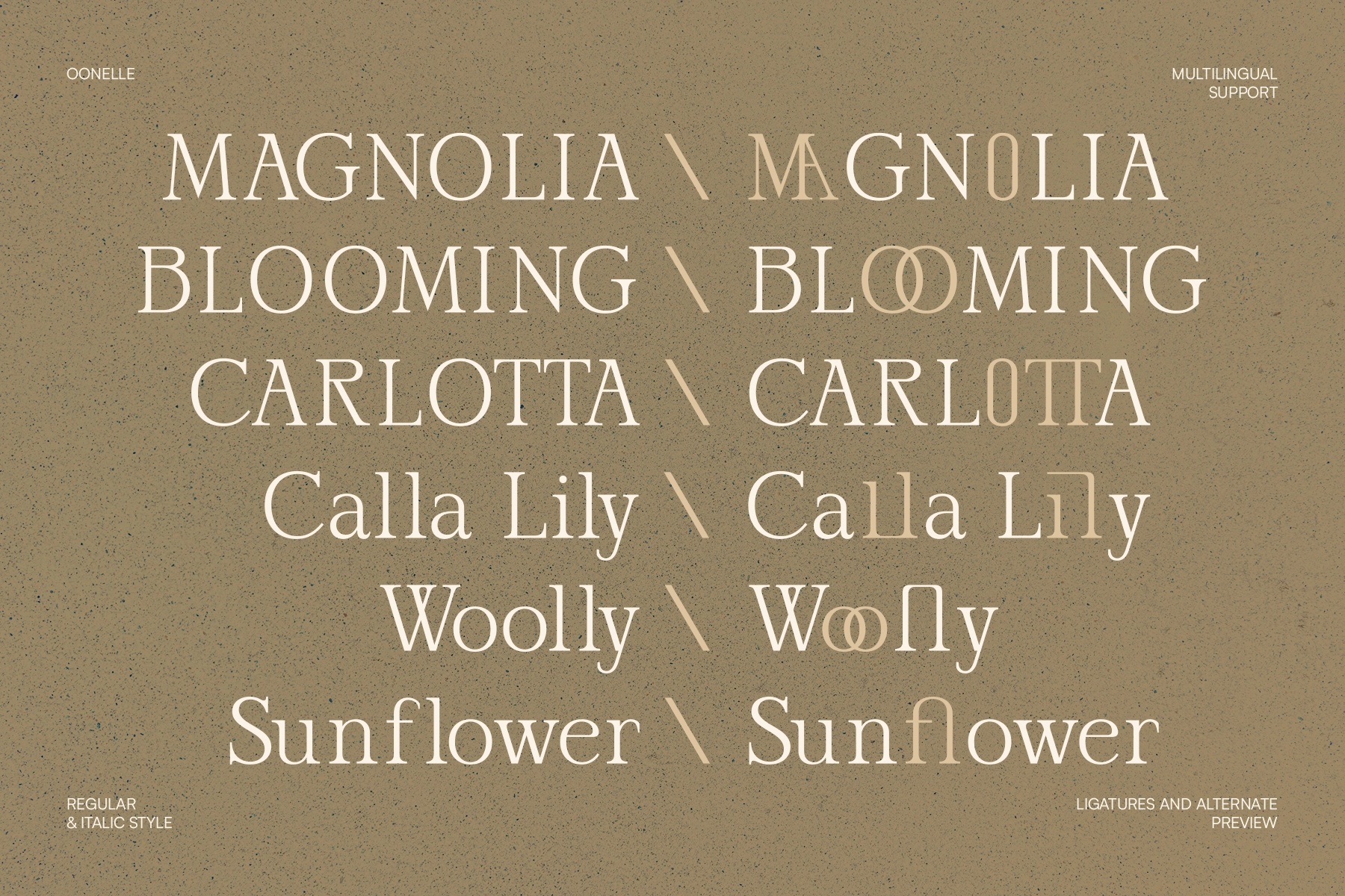 Oonelle - Elegant Serif Font