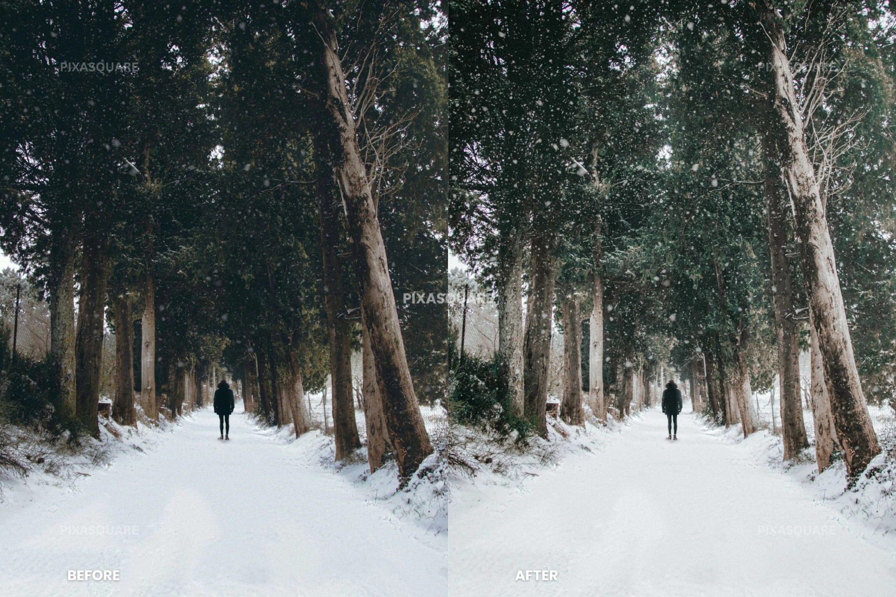 Clean Winter Lightroom Presets
